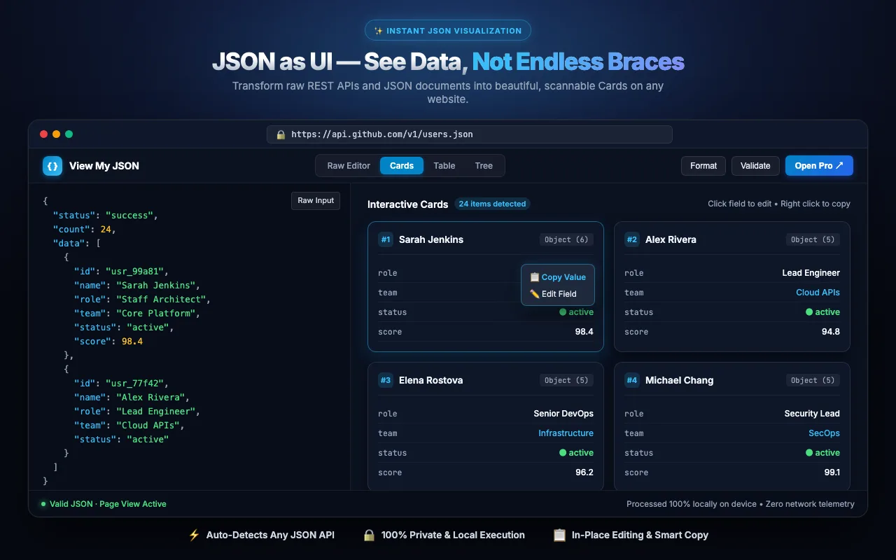 View My JSON extension showing a raw JSON tab as cards